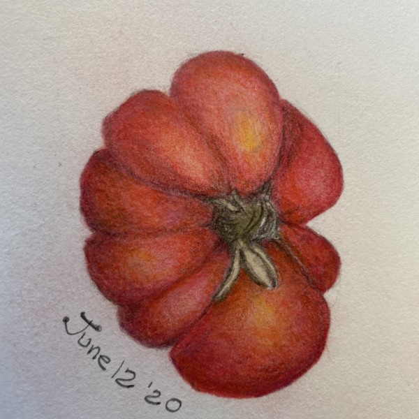 retry of tomato