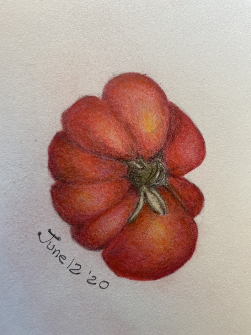 retry-of-tomato