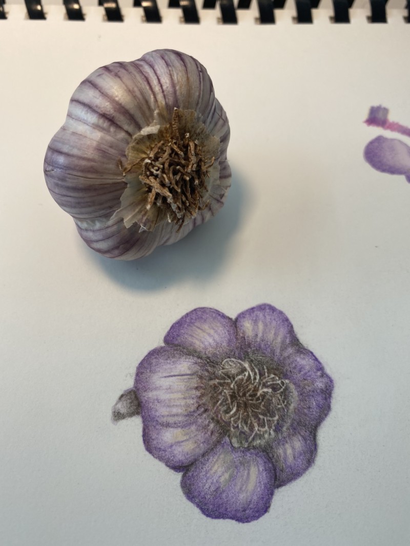 irresistible-garlic