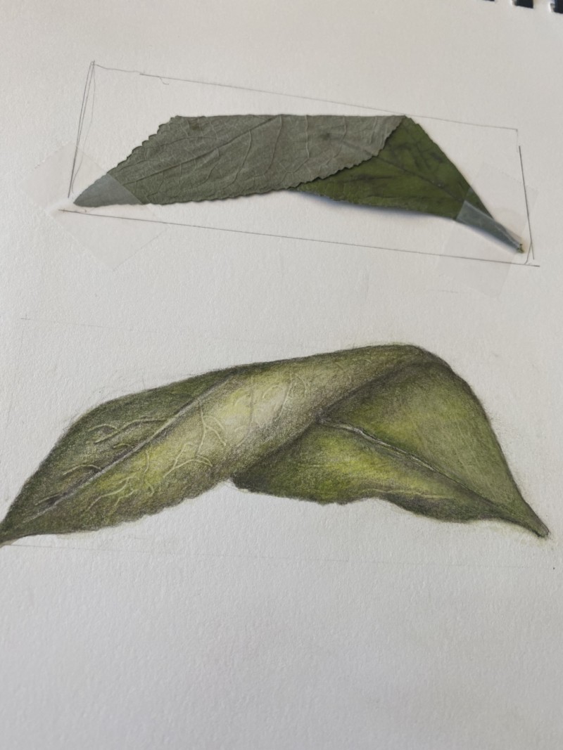 folded-leaf-exercise