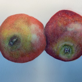 inspired-by-the-apple-video