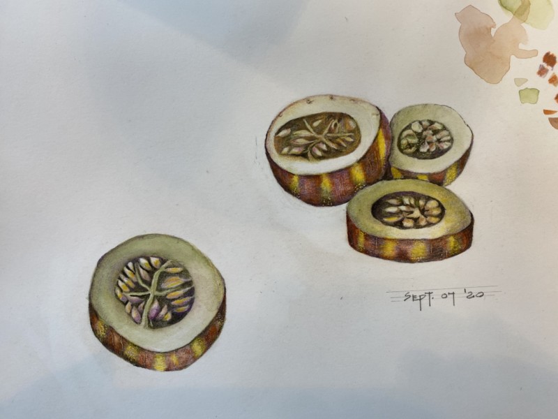 tiger-melon-slices