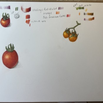 tomatos-7-22