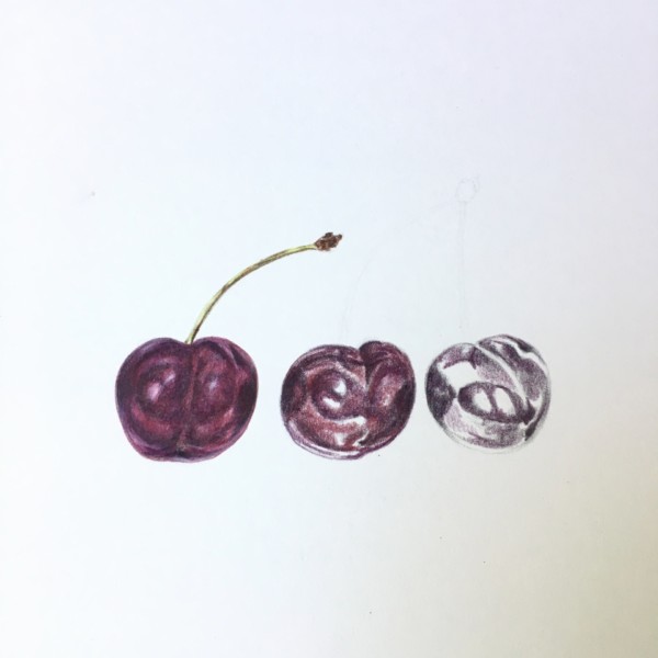 cherry composition in process