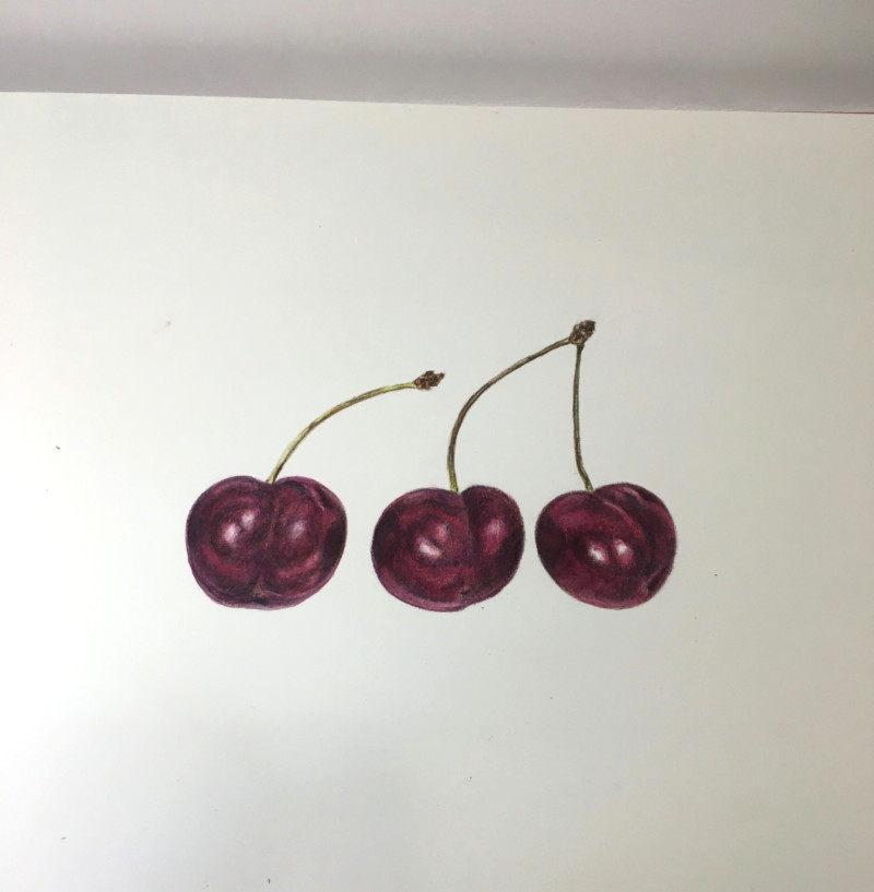 finished-cherries