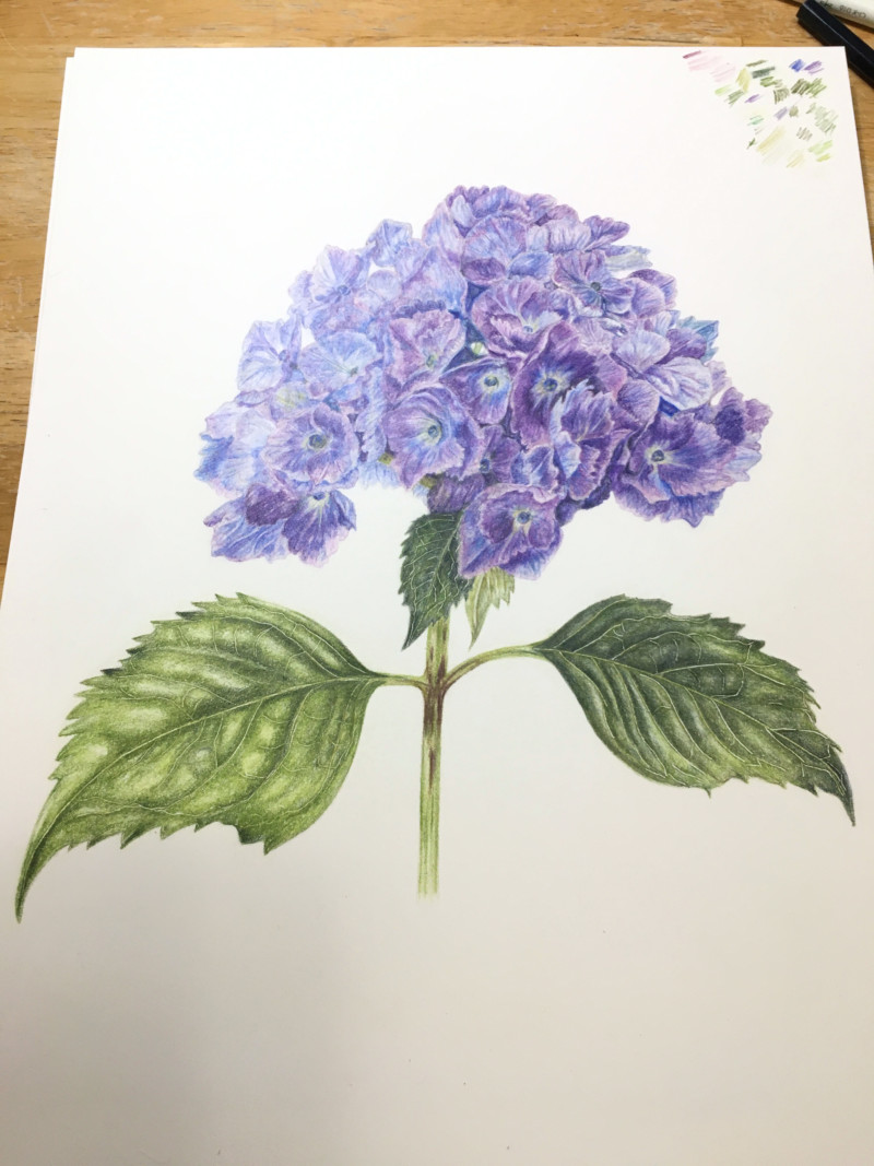 finished-hydrangea