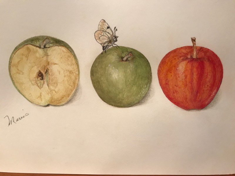 apple-line-up