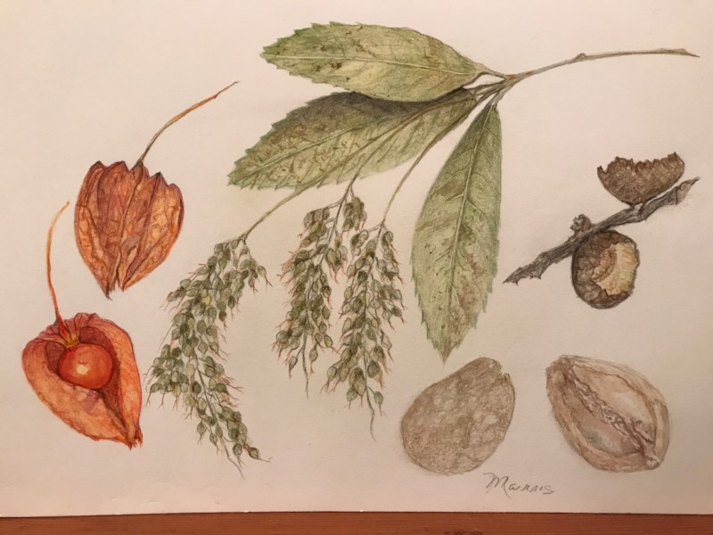 autumn-drawing-with-added-tones