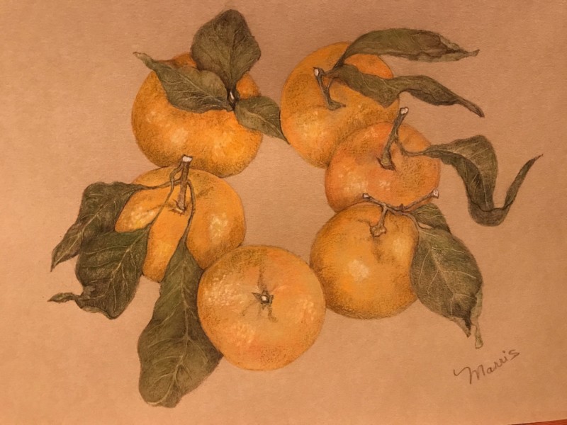citrus-wreath-final-drawing