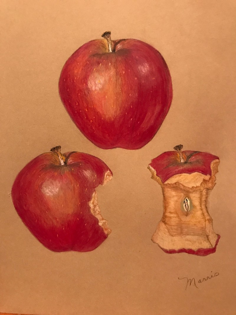 diminishing-apple-drawing