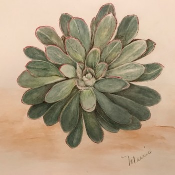 echeveria-with-added-shadows-and-toning