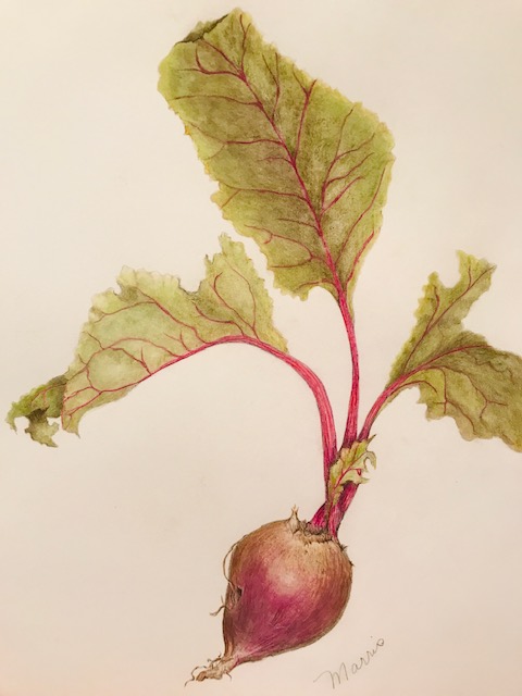 final-beet