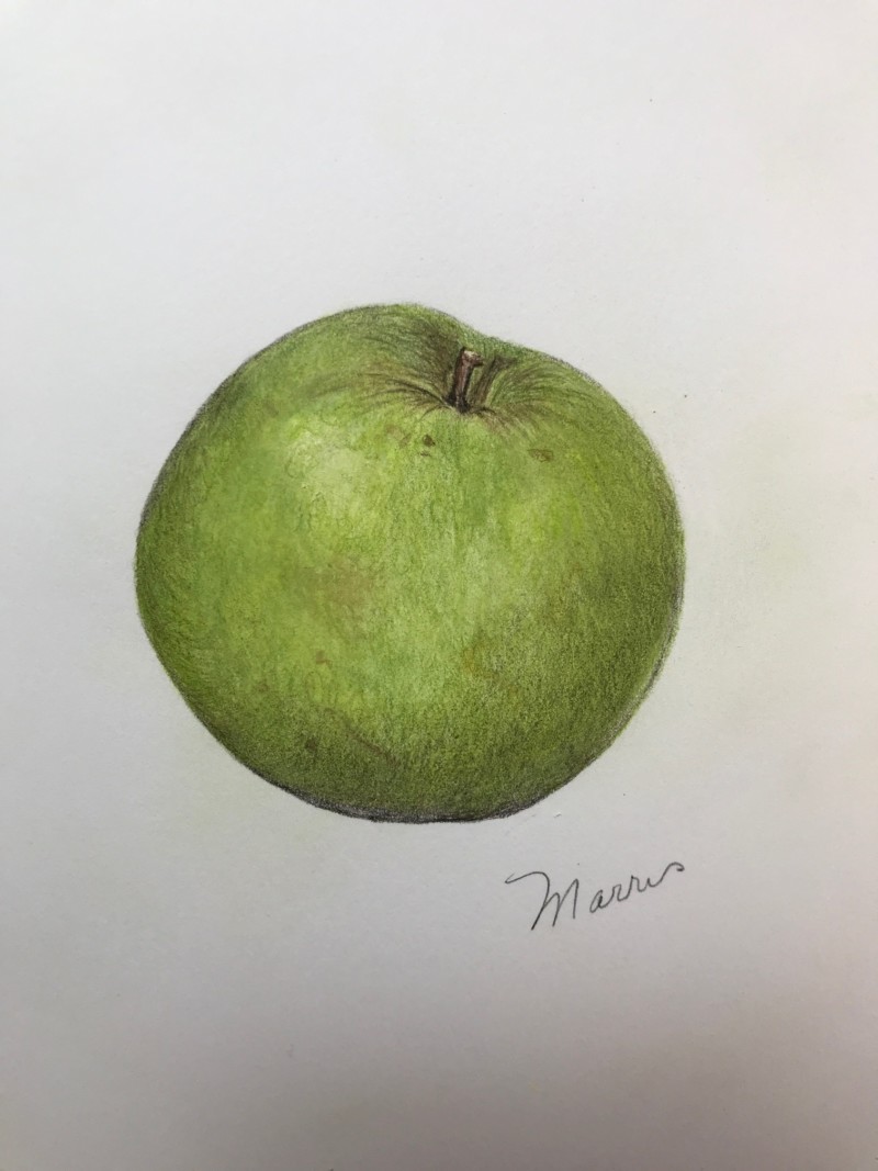 green-apple-how-to-measure-workshop-2