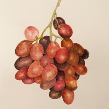 holiday-red-grapes-2