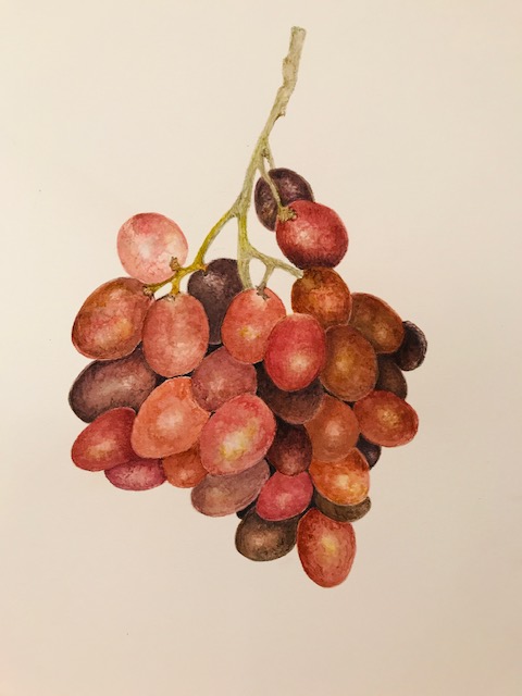 holiday-red-grapes-2