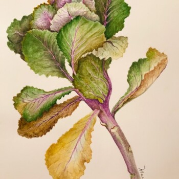 kale-in-watercolor