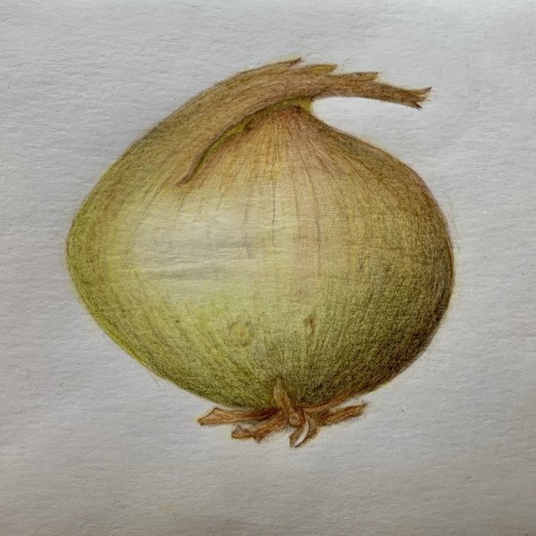 Sweet onion with edits