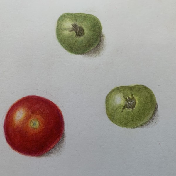 Small fruit forms 