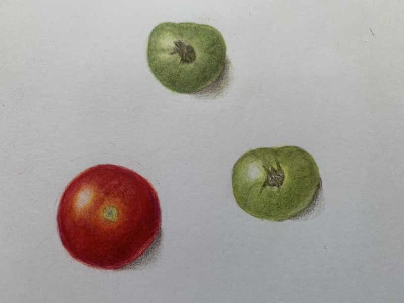small-fruit-forms