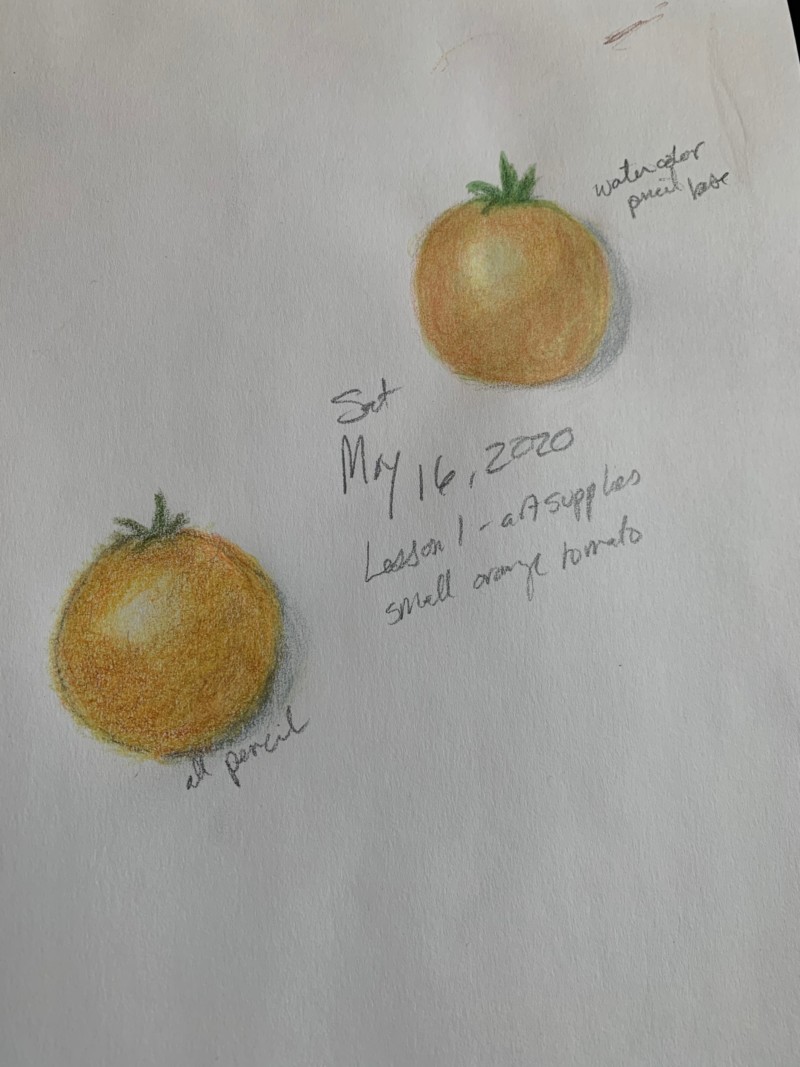 basics-lesson-1-may-16-2020