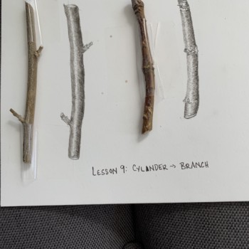 lesson-09-cylinder-to-branch
