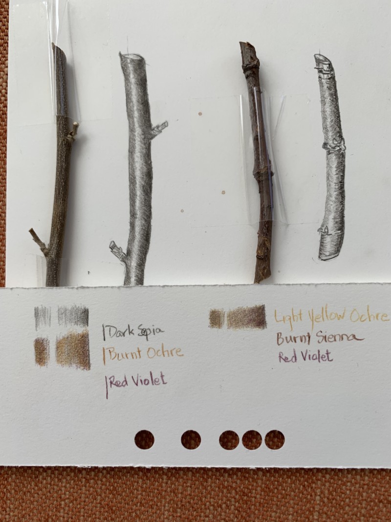 lesson-13-color-tone-bar-branch