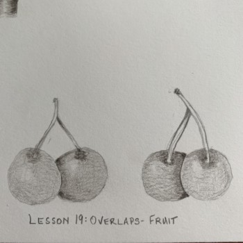 lesson-19-overlaps-small-fruit