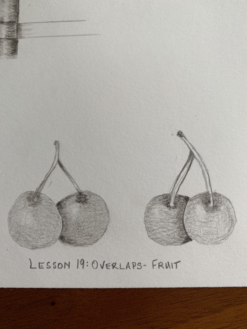 lesson-19-overlaps-small-fruit
