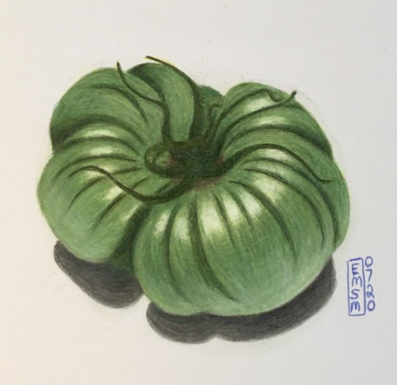 green-heirloom-tomato