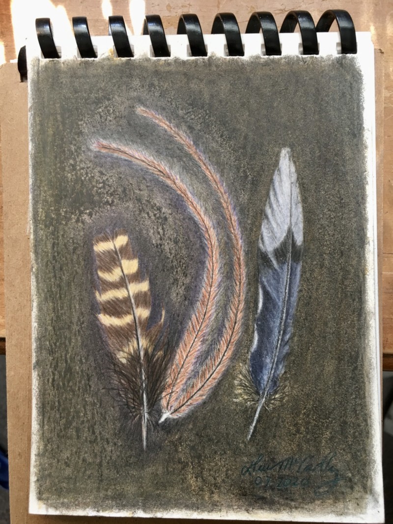 feathers-part-3-finished