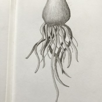 imaginary-roots-or-earth-worms