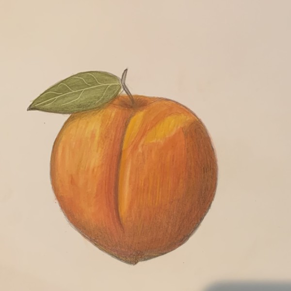 South Carolina peach