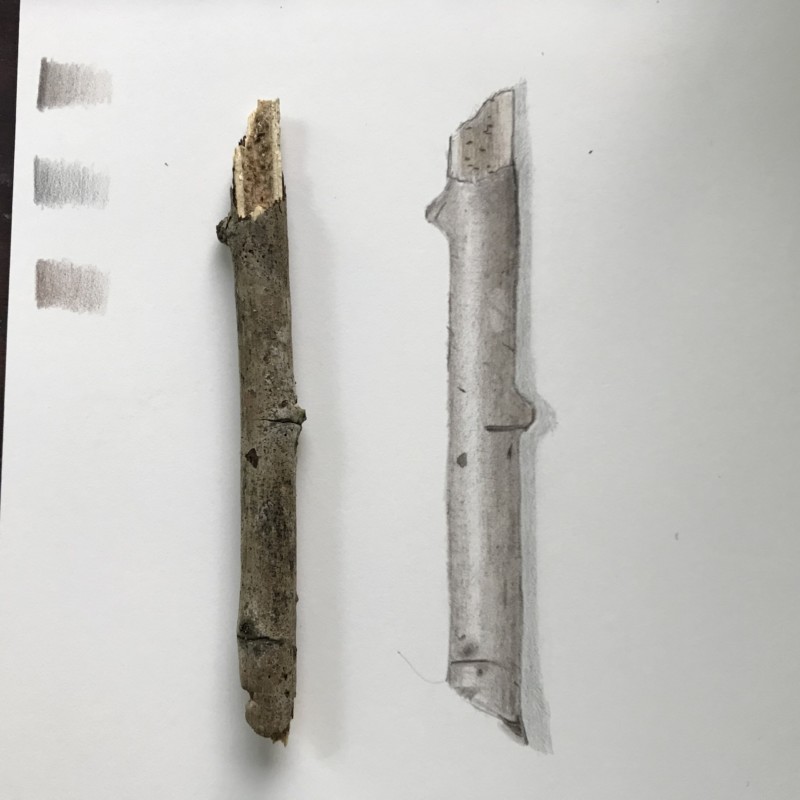 6-20-lesson-9-branch