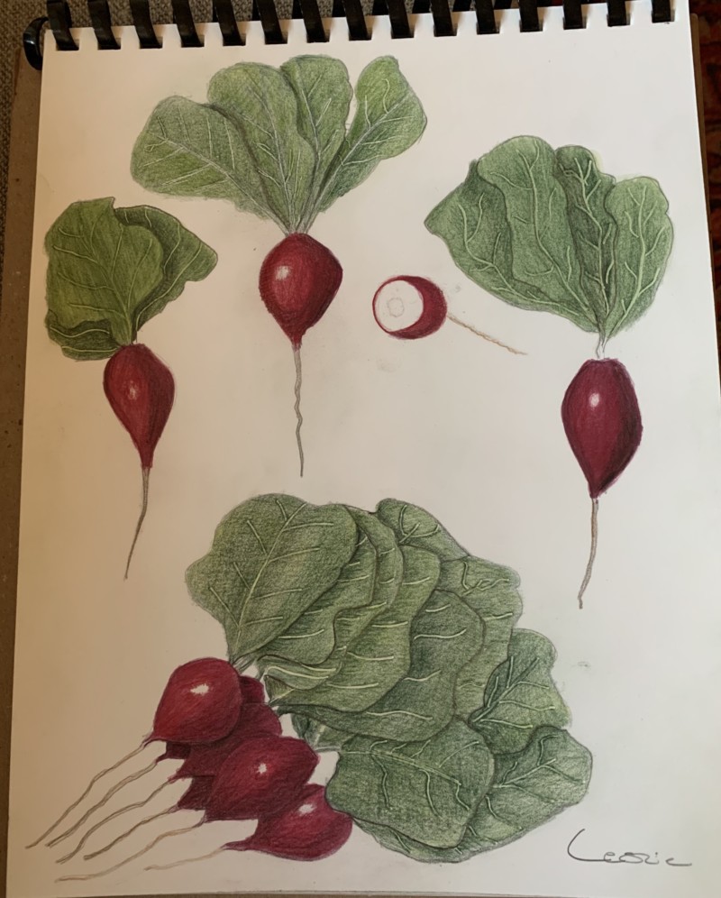radishes-1