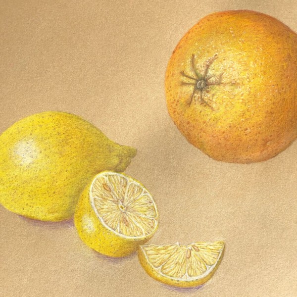 citrus on kraftpaper