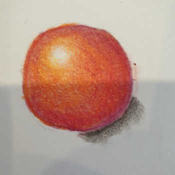 tomato-lesson-17