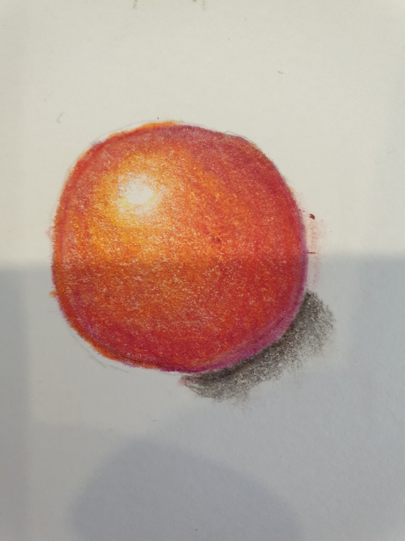 tomato-lesson-17