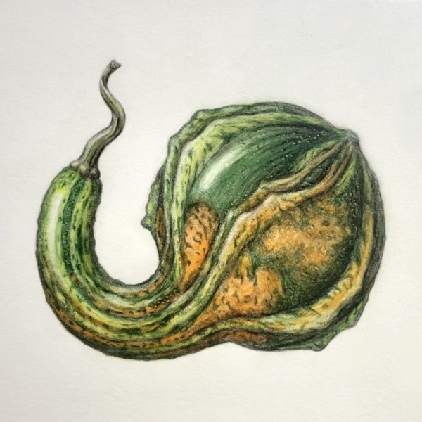 0A3549B2-6E8E-4380-B264-9646B5878E09