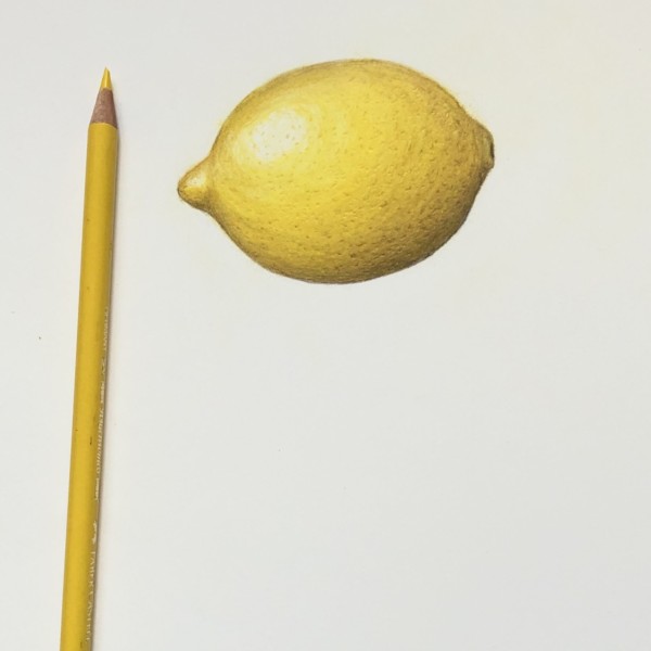 Citrus Fruit - Lemon