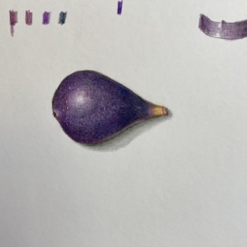 fig-from-our-tree
