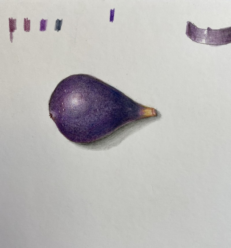 fig-from-our-tree