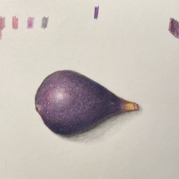 Fig revised nck