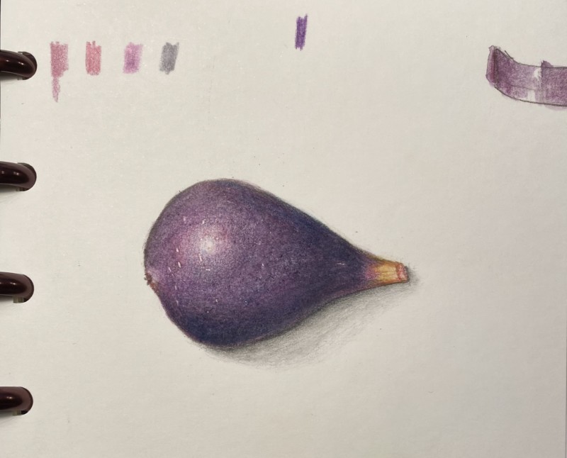 fig-revised-nck