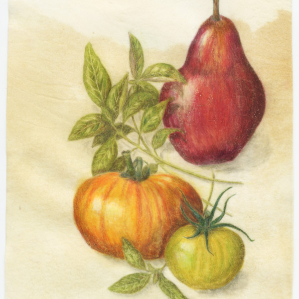 Summer Kitchen