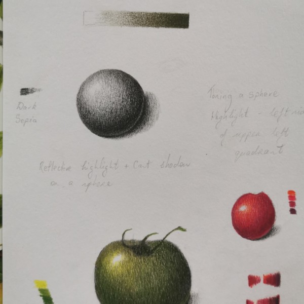 Lessons 10 - 13 Toning a sphere