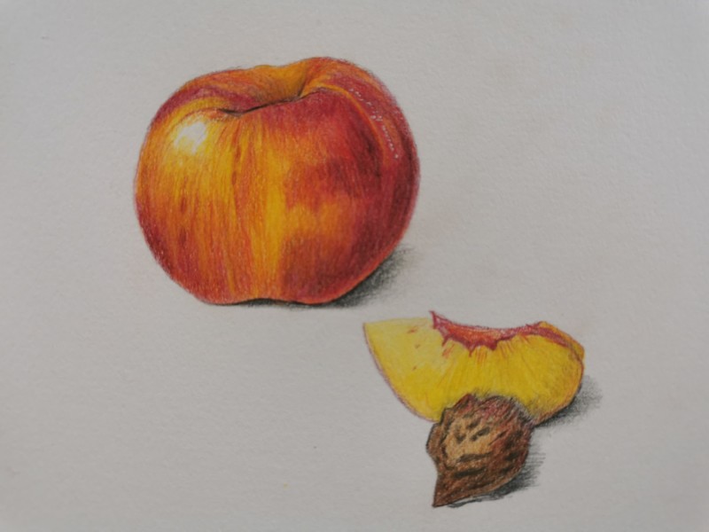 lesson-on-drawing-a-peach