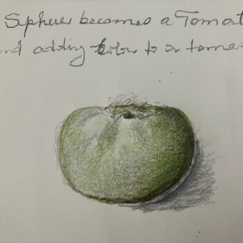 adding-color-to-a-tomato-bcs