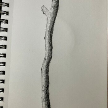 cylinder-becomes-a-branch-bcs