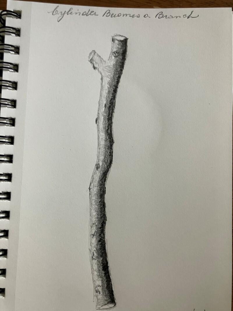 cylinder-becomes-a-branch-bcs