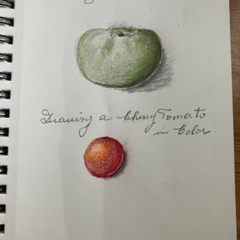 drawing-a-cherry-tomato-in-color-3